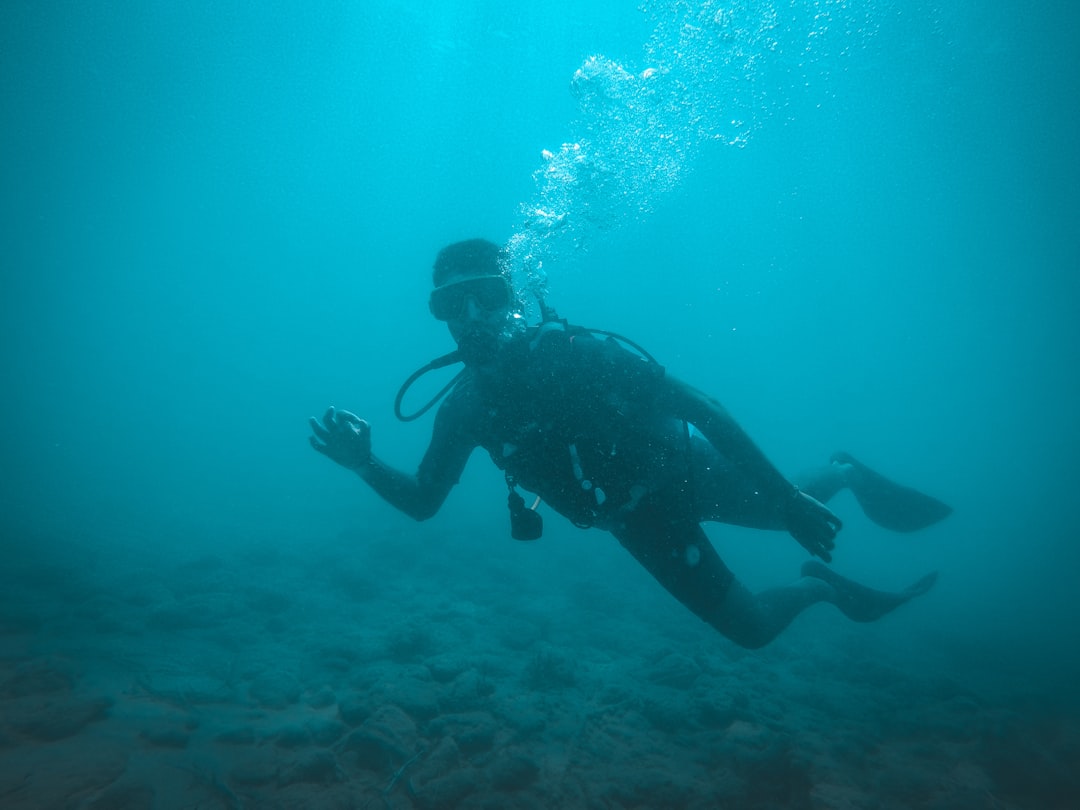 on chain analysis - diving numbers