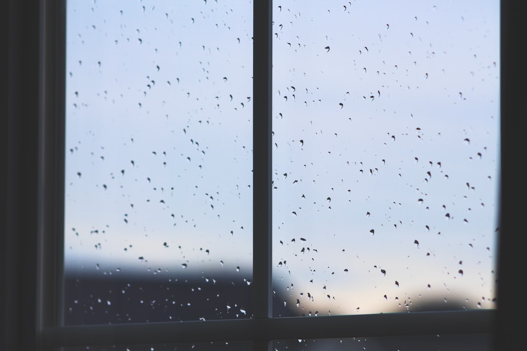 all weather - matrix reflects
