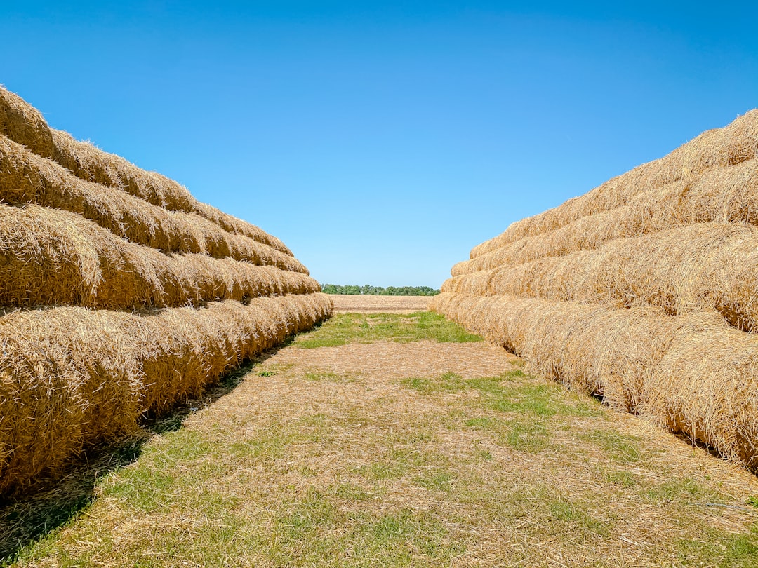 agricultural - blockchain functions