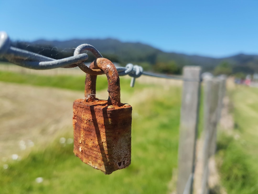 Tokens de utilidade vs tokens de segurança - Tokens de Utilidade vs Tokens de Segurança: Guia Completo para Investidores e Desenvolvedores