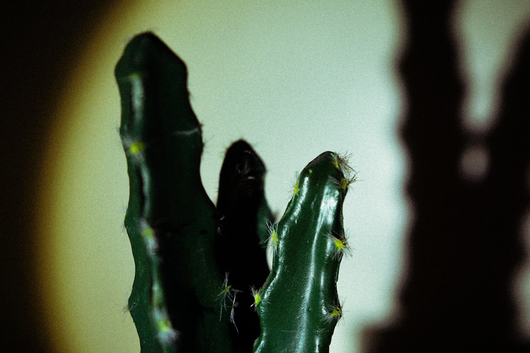 jade lizard - Jade Lizard: Guia Completo de Identificação, Habitat, Cuidados e Conservação