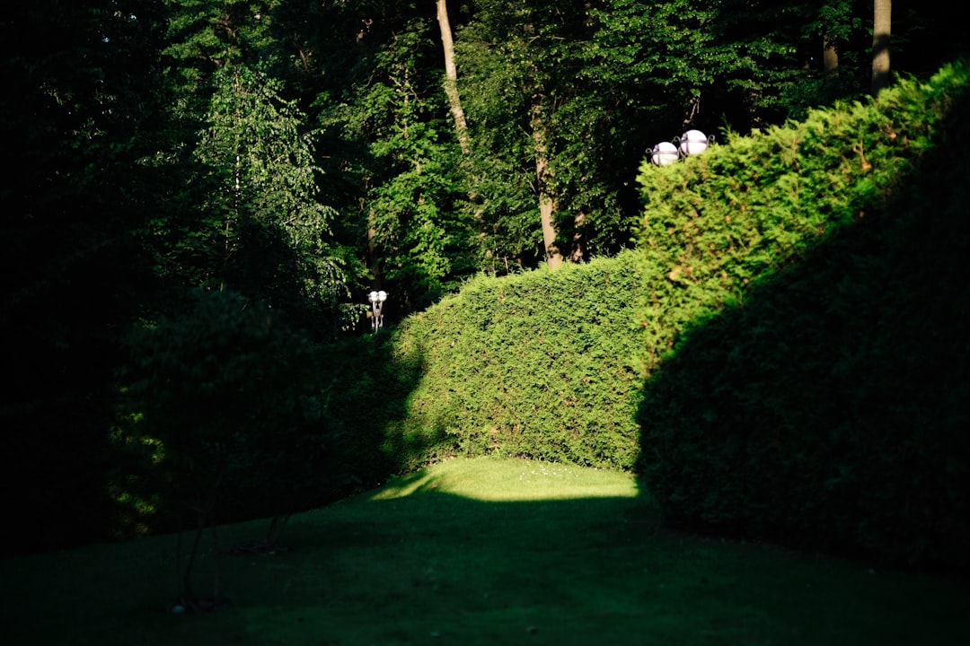 protective put hedge - seeking legal