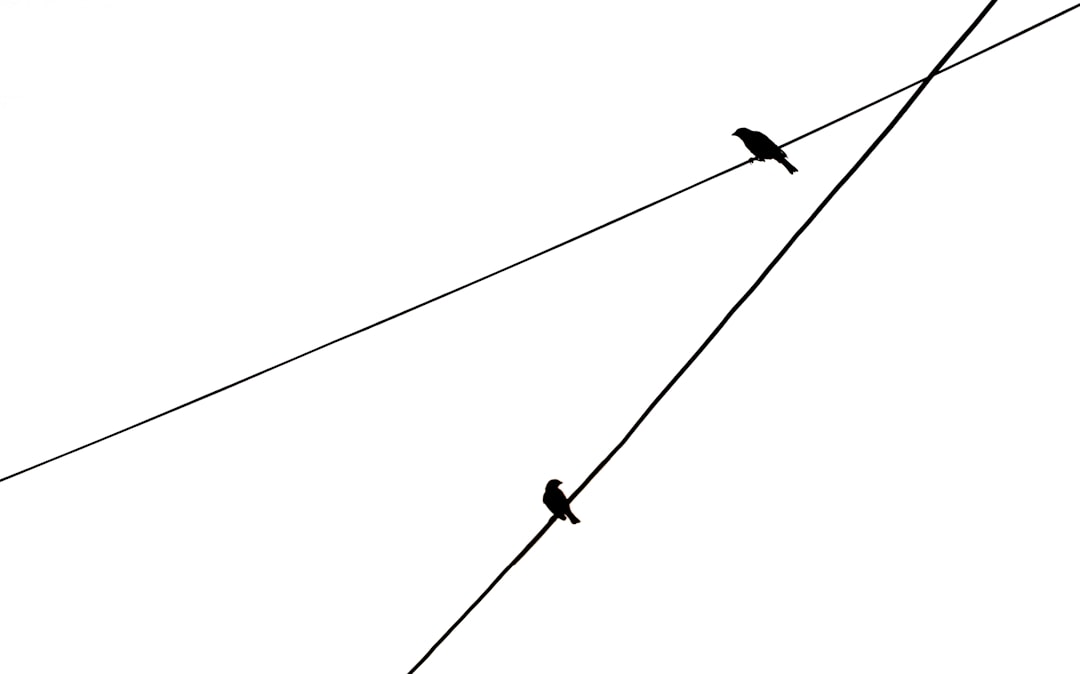 NVT Ratio explicado - just smoothed NVT Ratio explicado - just smoothed