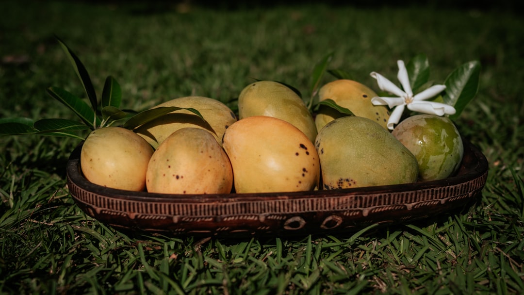mango - Mango: Tudo o que Você Precisa Saber Sobre a Fruta Tropical – Benefícios, Usos Culinários e Curiosidades