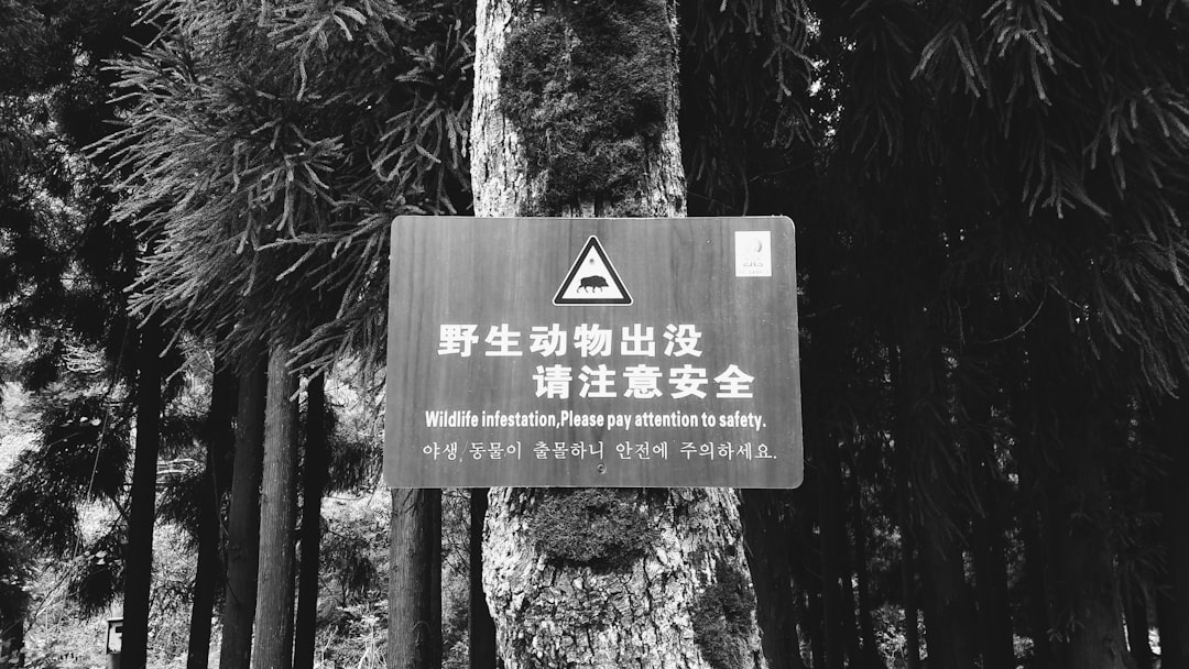 asian session - regulations your