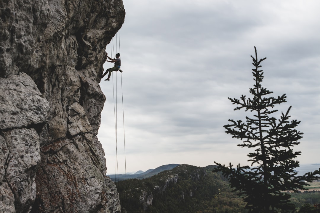 risk reversal - quot free