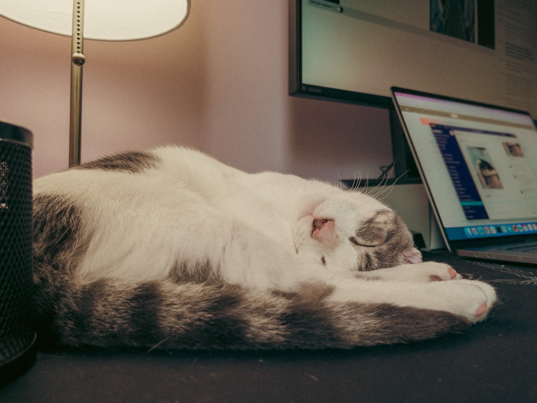 lazy portfolio - investors looking lazy portfolio - investors looking