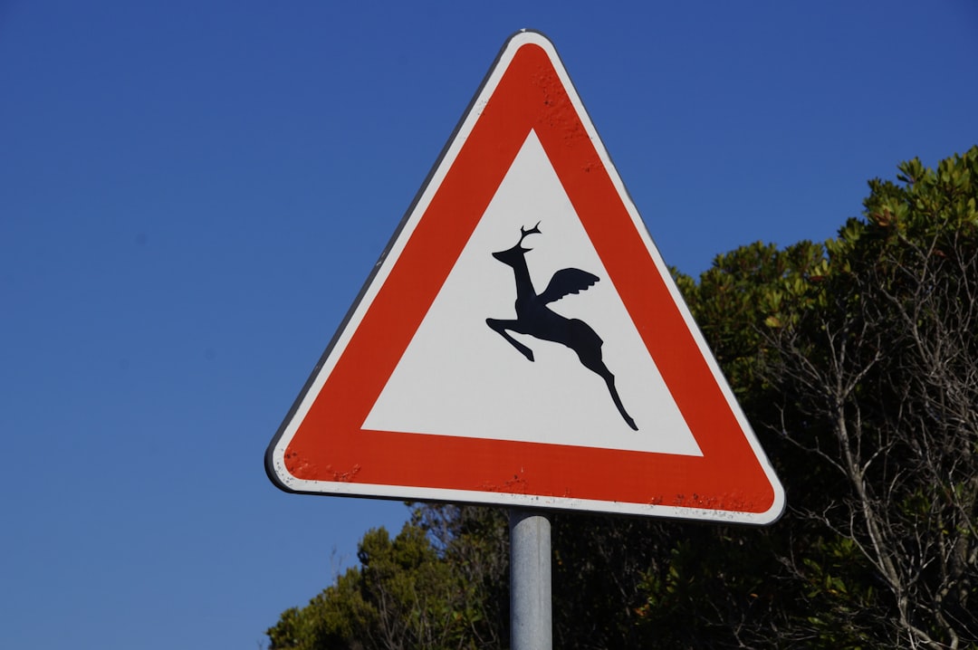 O que é o Danksharding - mitigate risks