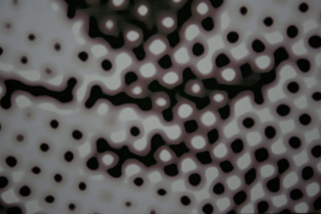 Polkadot (DOT) o que é - quot projects
