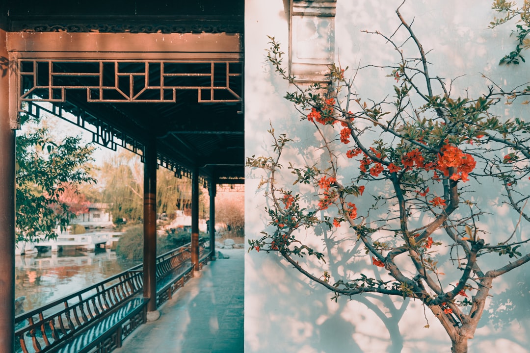 Diferença entre um SBT e um NFT tradicional - Diferença entre um SBT e um NFT tradicional: tudo o que você precisa saber