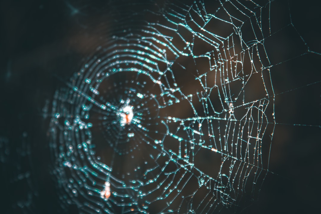 O futuro da Web3 - mitigate risks