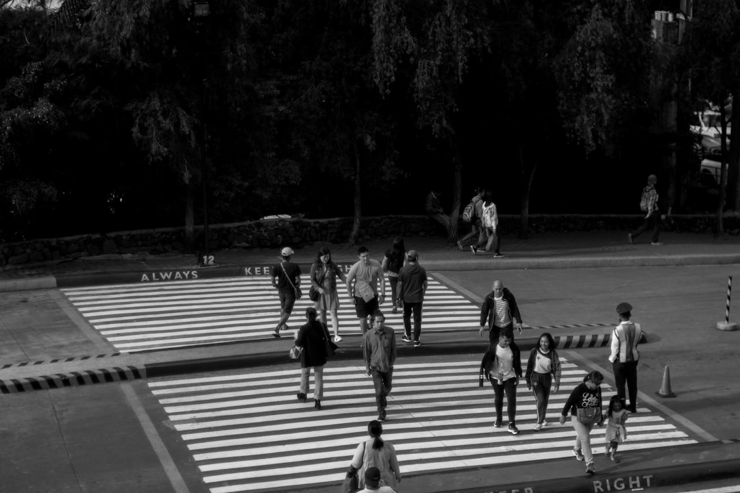 Socios.com e a interação com equipas desportivas - socios dashboards