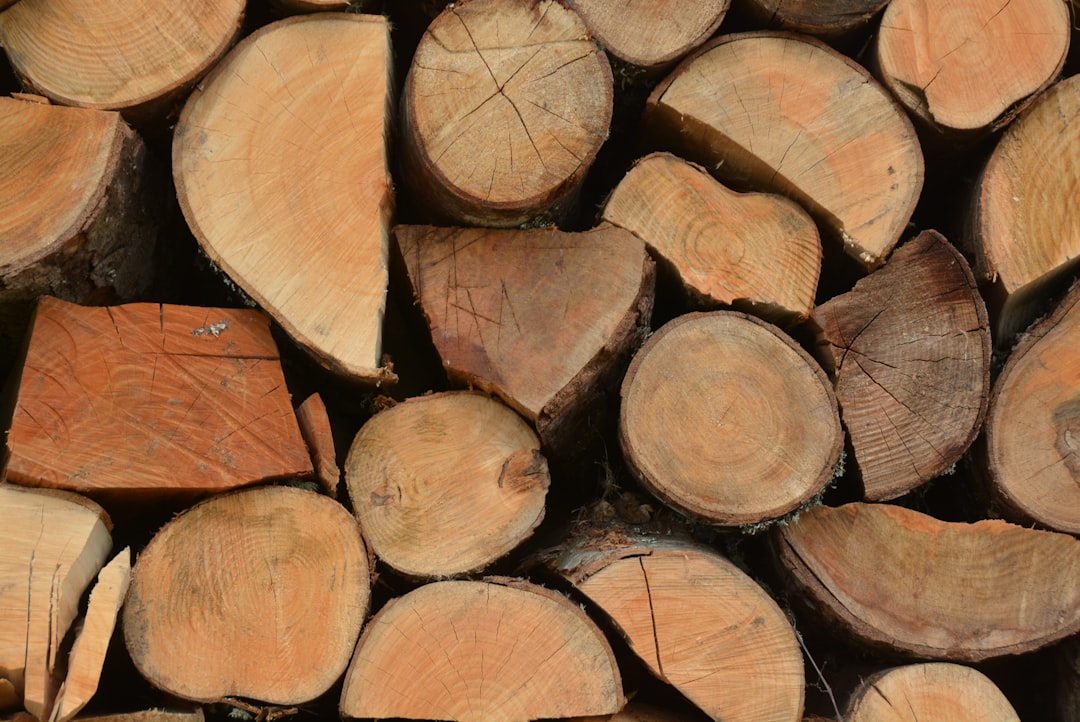 lumber futures - brokers offering lumber futures - brokers offering