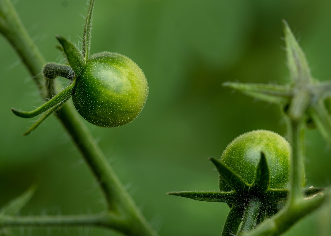 Seed Phrase - method ensures