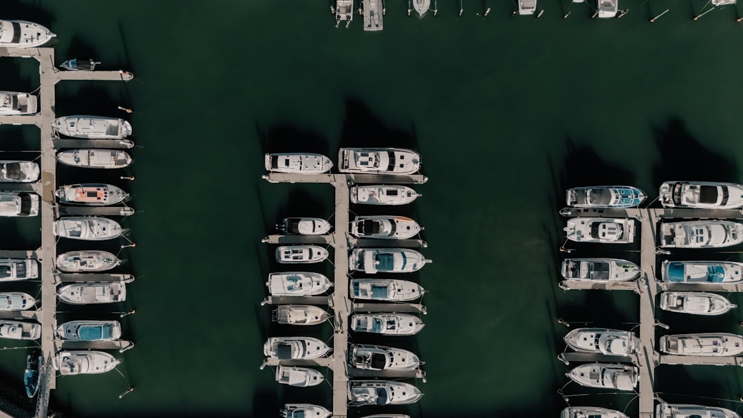 Bored Ape Yacht Club (BAYC) - price average Bored Ape Yacht Club (BAYC) - price average