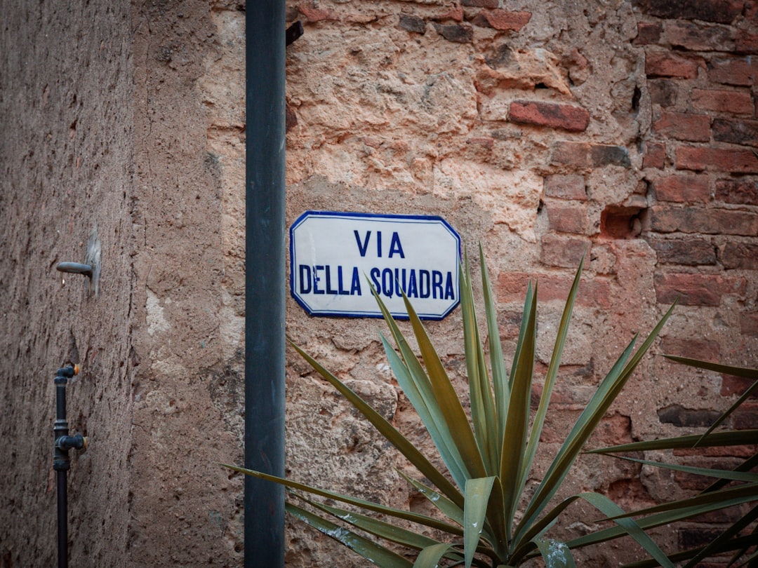Solana (SOL) vale a pena? - understand whether