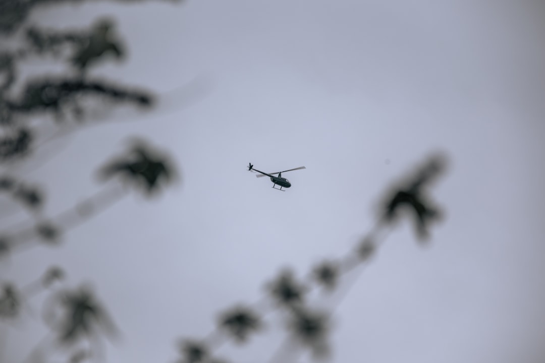 Caça a airdrops (airdrop hunting) - there several