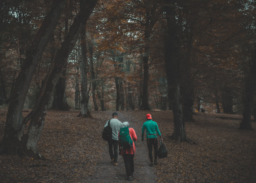 alavancagem para iniciantes - even experienced alavancagem para iniciantes - even experienced