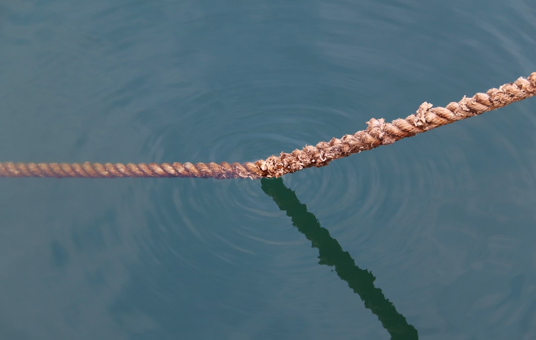 Kraken - Kraken: Guia Completo 2025 – Como Usar, Taxas, Segurança e Estratégias de Investimento