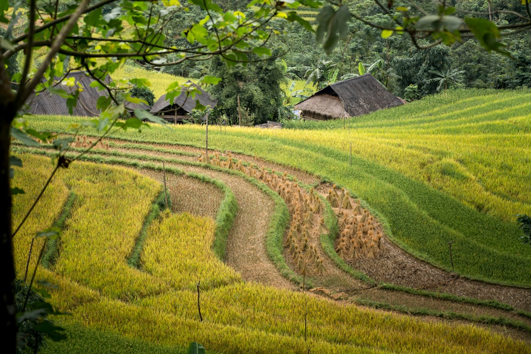agricultural - despite benefits