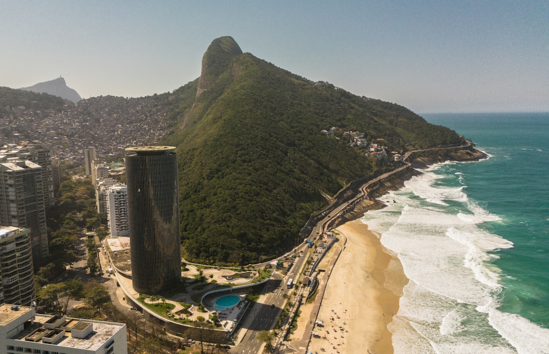 The Bitcoin Standard - investing brazil