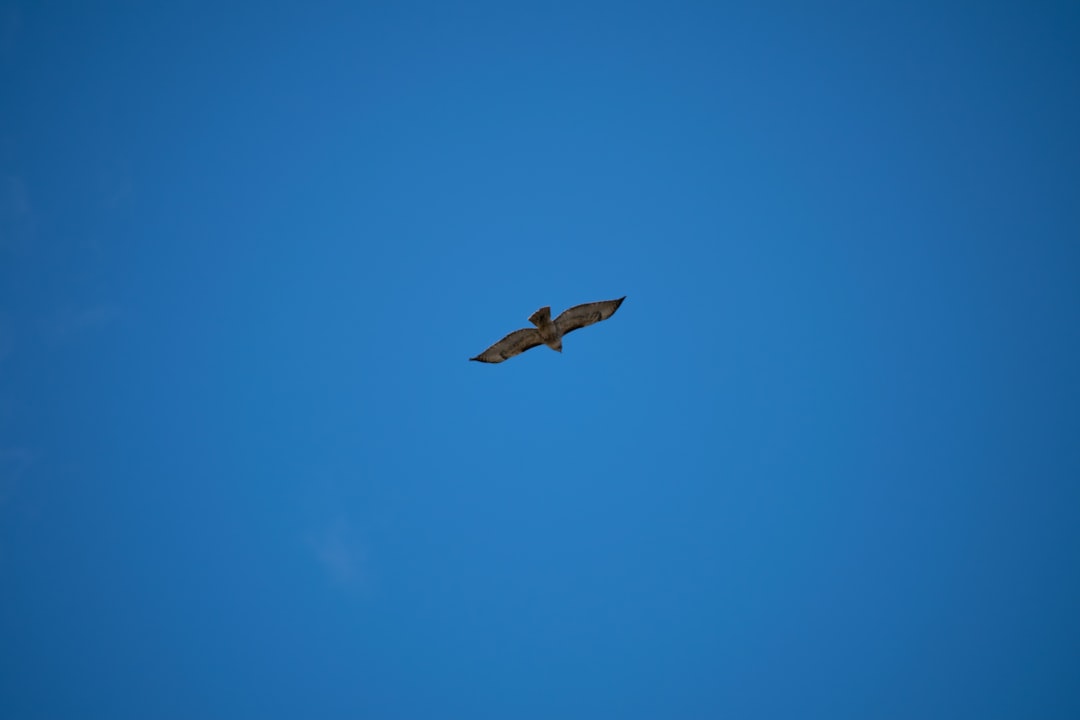 O que é um airdrop retroativo - best known