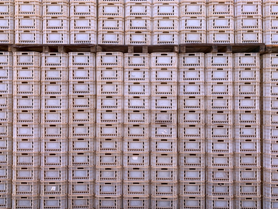 Arweave (AR) - Arweave (AR): A Revolução da Armazenagem Perpétua na Era Web3