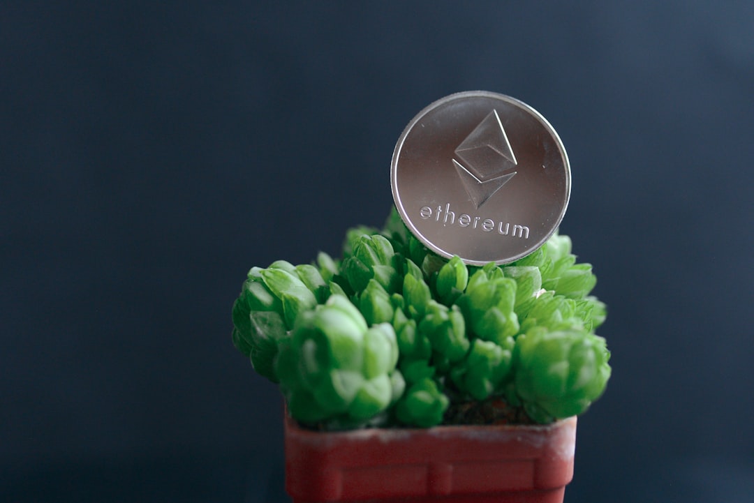 Máquina Virtual Ethereum (EVM) - additionally official