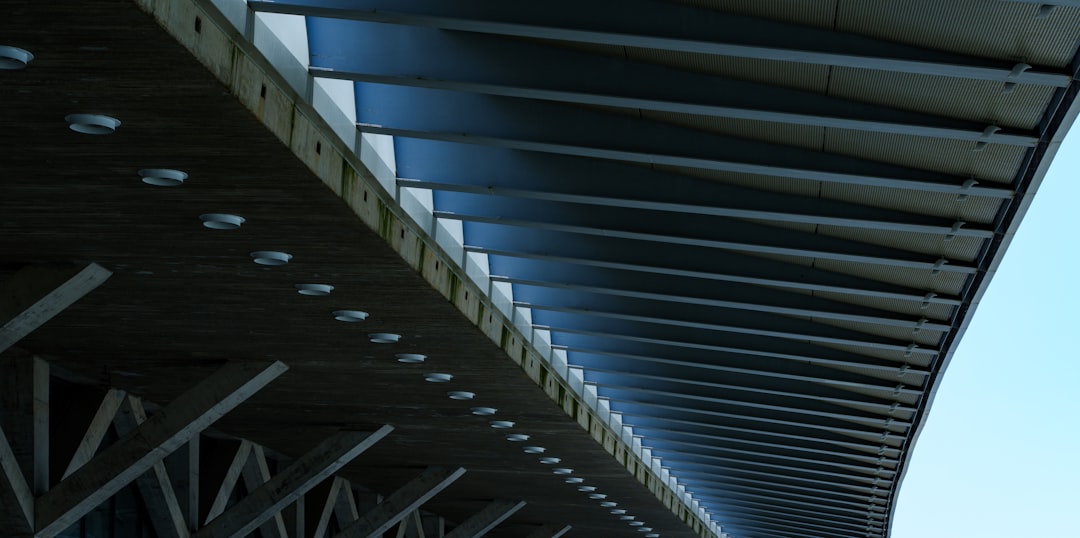 tcg world - bridges platforms