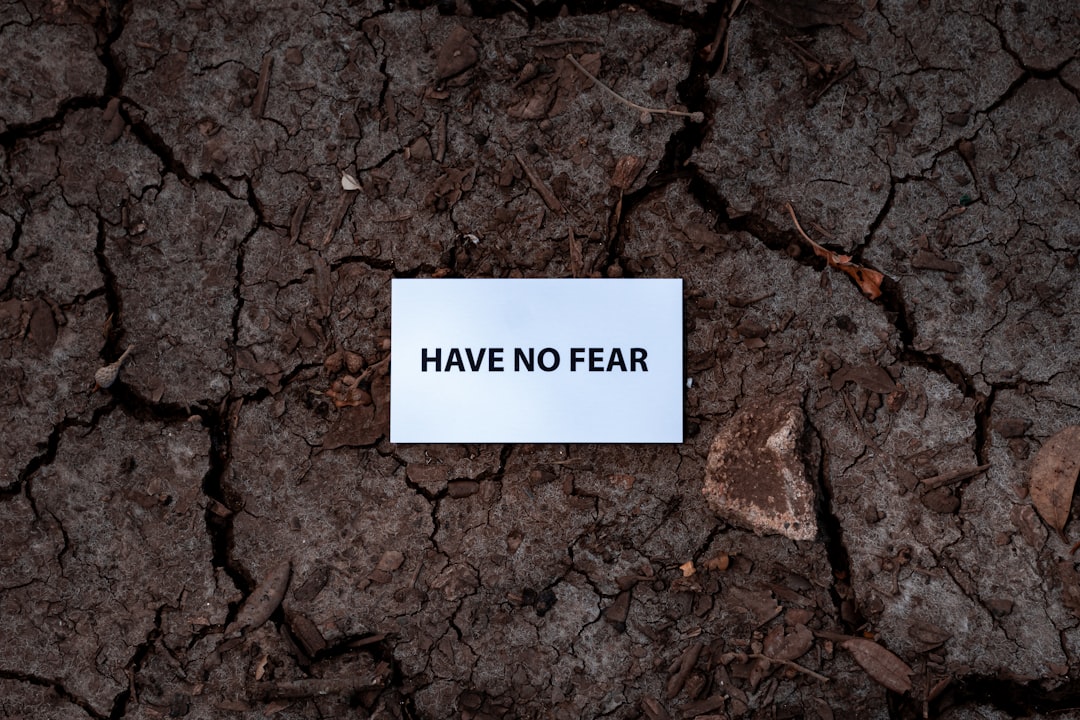 fear management - Gestão do Medo: Estratégias Científicas para Superar o Medo nos Investimentos e na Vida