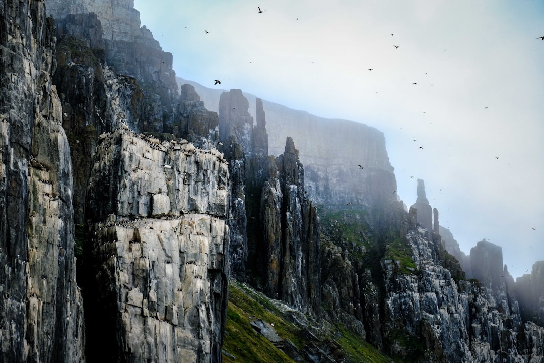 defi kingdoms - beyond simple