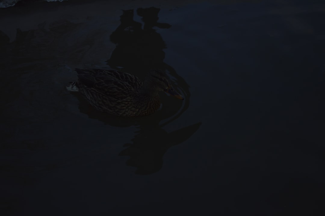 Kraken é uma boa corretora? - kraken offers