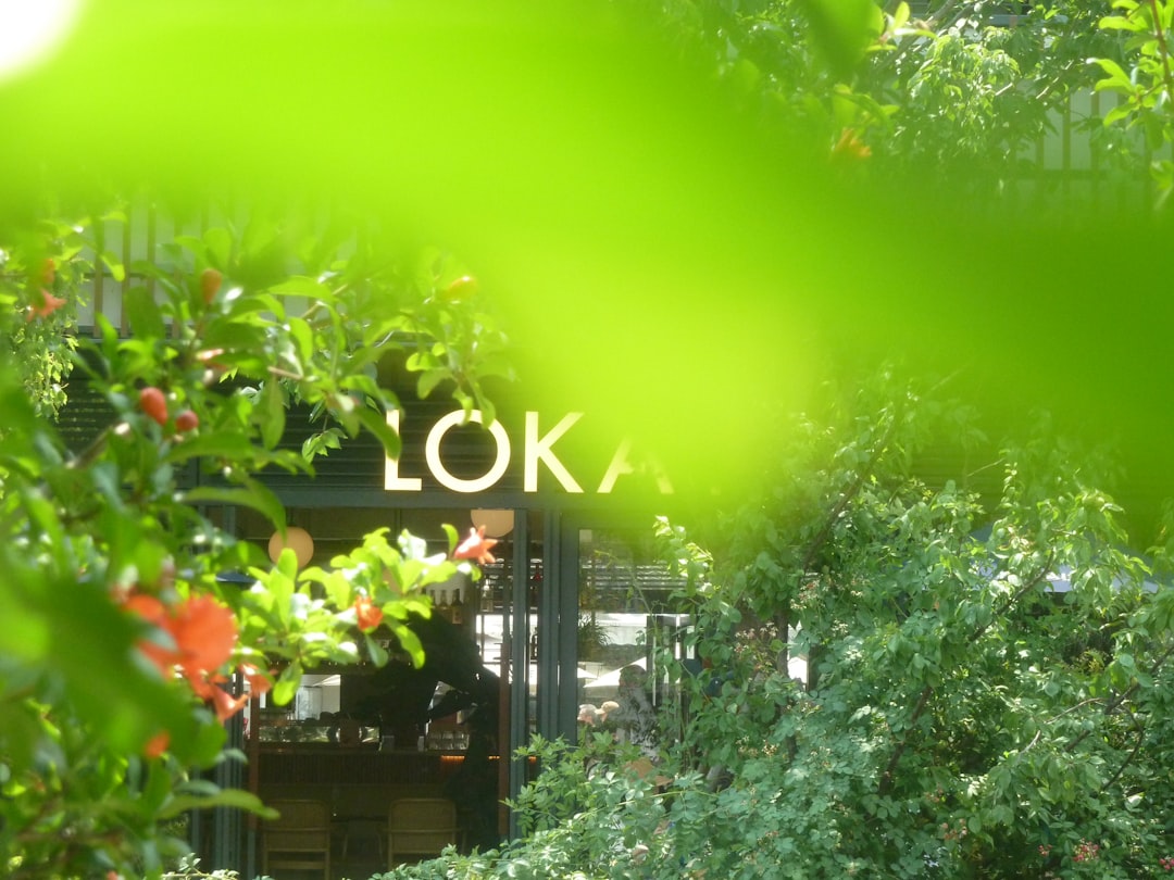 OKX é boa? - understanding cost OKX é boa? - understanding cost