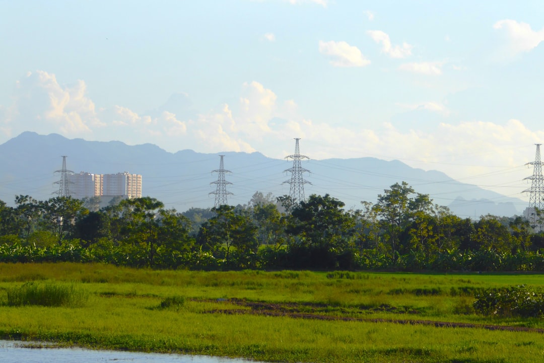 Financiar projetos ambientais com transparência - Financiamento de Projetos Ambientais com Transparência: Como a Blockchain e as DAOs Estão Revolucionando a Sustentabilidade