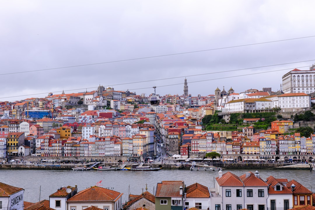 Canais do YouTube sobre cripto Portugal - name suggests