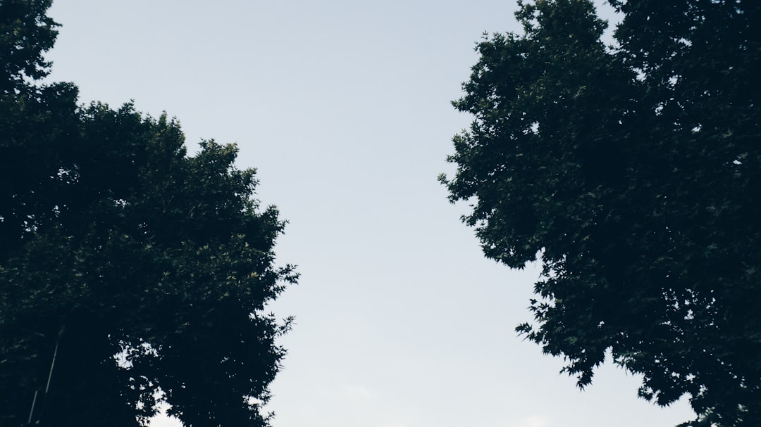 Terrenos virtuais no Metaverso - just like