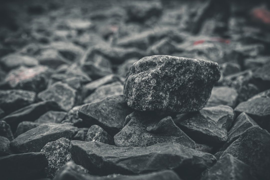 Impacto social da blockchain - environmental ngos