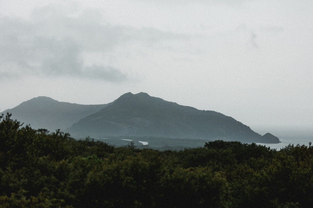 OKX vs Gate.io - based seychelles