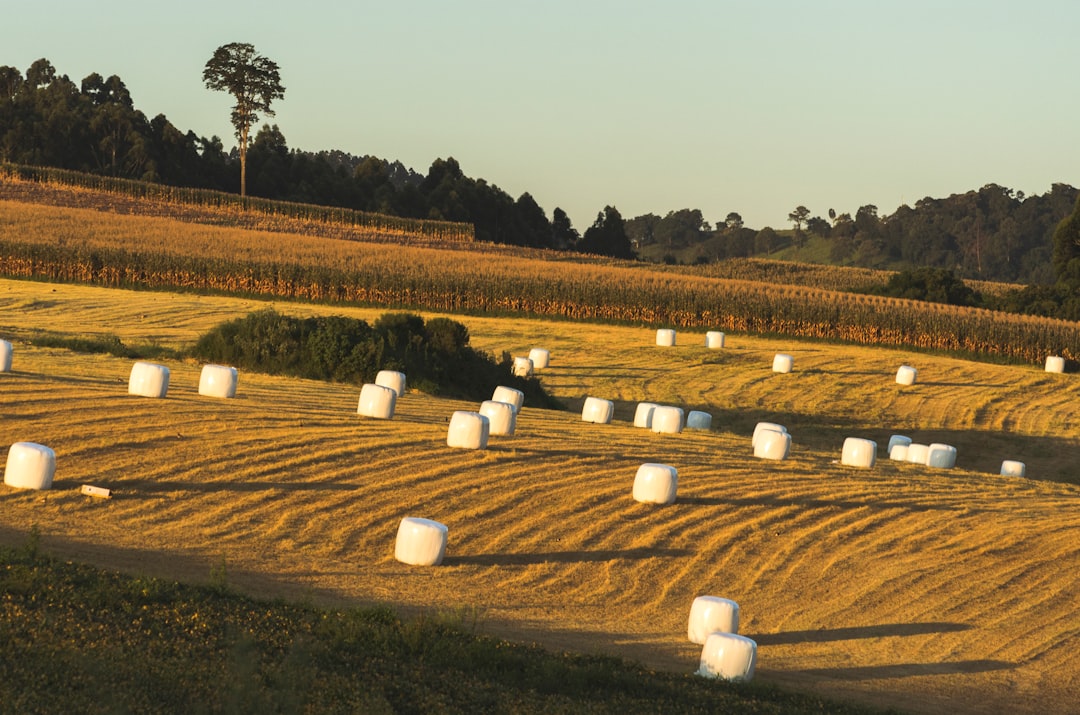 Yield farming para iniciantes - Yield Farming para Iniciantes: Guia Completo para Lucrar com DeFi em 2025