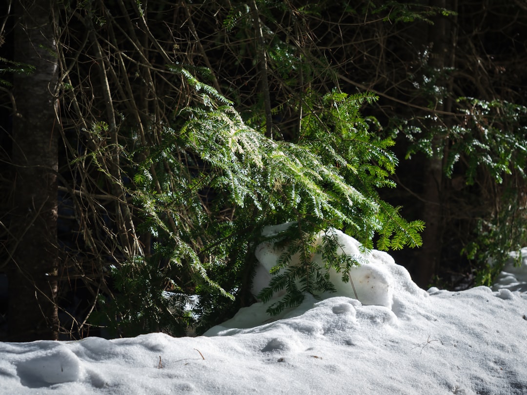 OKX cold storage - furthermore hedge