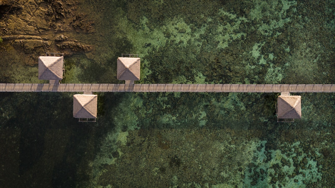 O que são os "validadores de ponte" - O que são os "validadores de ponte" e como eles sustentam a interoperabilidade blockchain