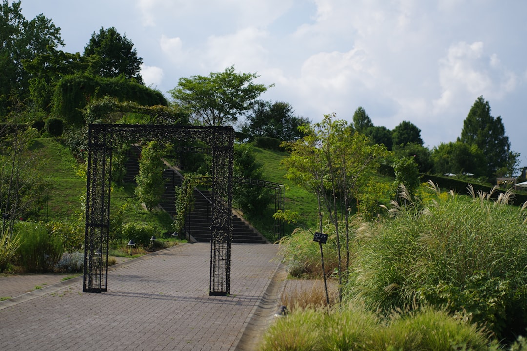 OKX vs Gate.io - OKX vs Gate.io: Comparação Completa de Recursos, Segurança e Custos para Investidores Brasileiros