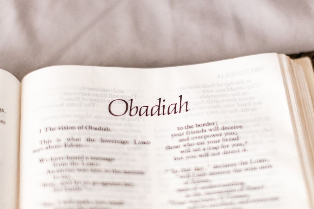 O debate sobre os Ordinals na comunidade Bitcoin - O debate sobre os Ordinals na comunidade Bitcoin: impactos, controvérsias e o futuro dos NFTs na cadeia original